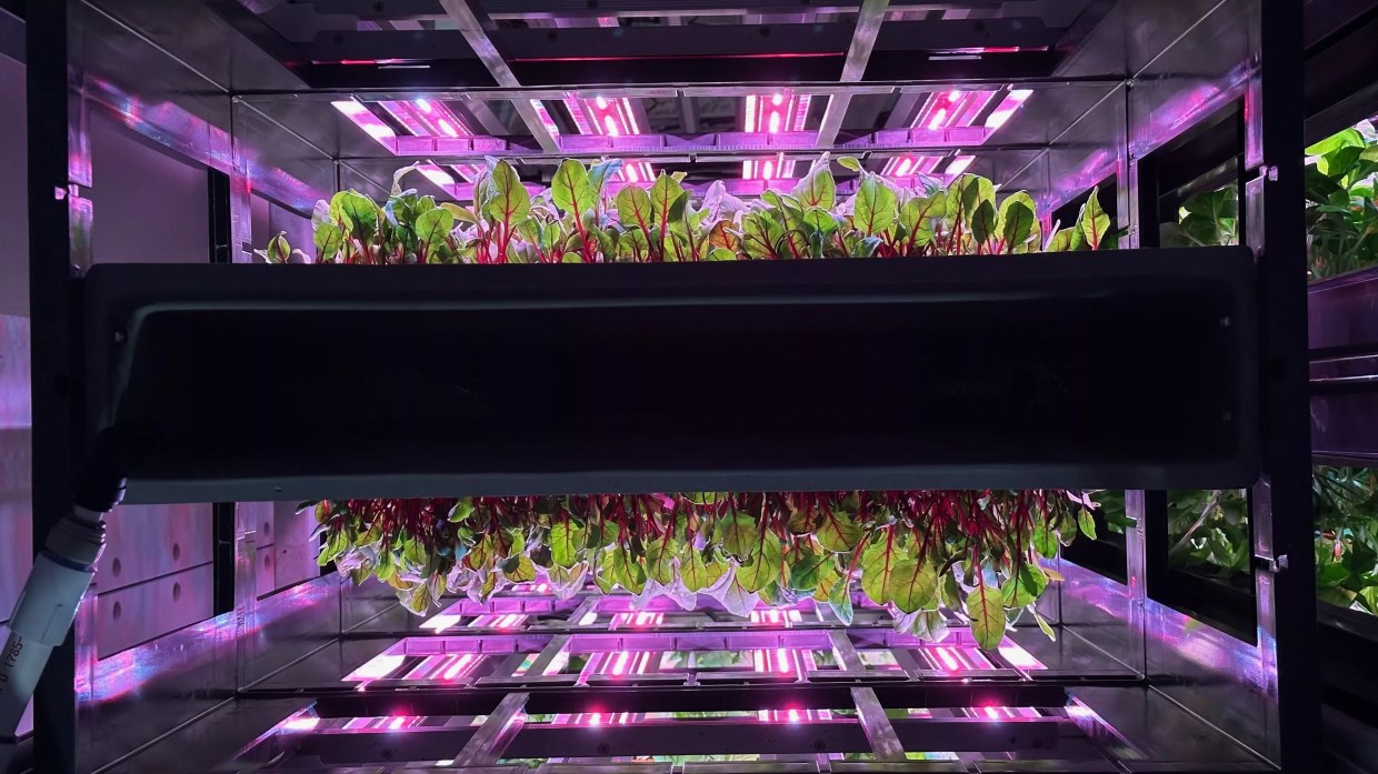 Futuristic Avondale farm is ‘a collaboration between people and robots’