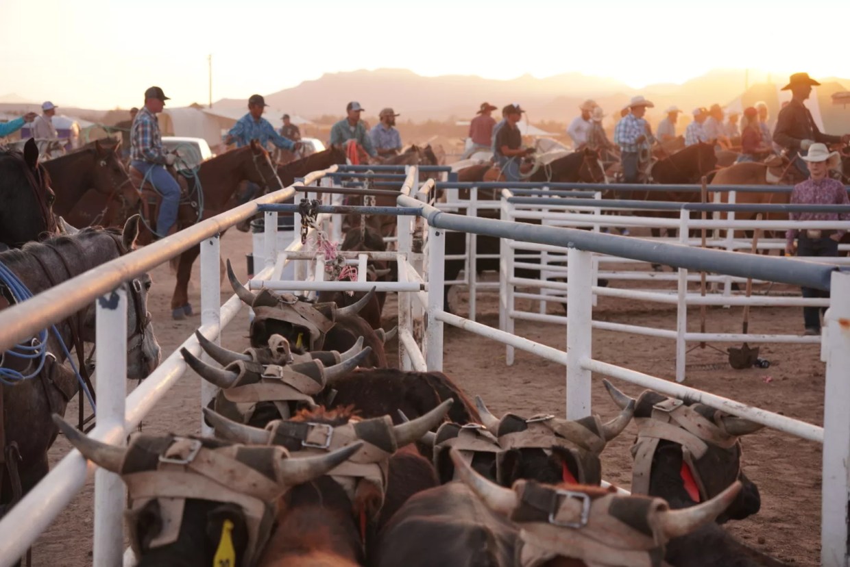 Rodeo’s rough reality: Inside America’s most dangerous sport