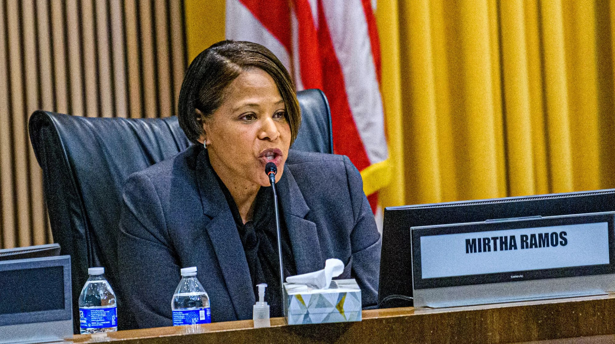 a woman speaks into a microphone in a meeting room setting